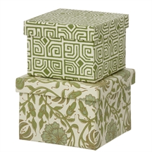 Bungalow cubic duo box Thilla leaf green
