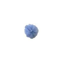 Blå fleur
